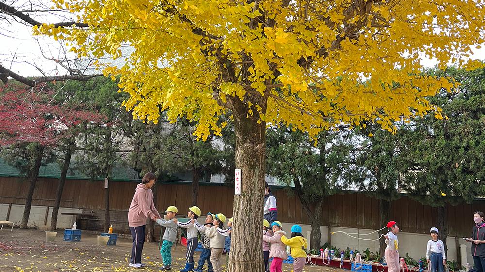 園庭は四季の草花と樹木。